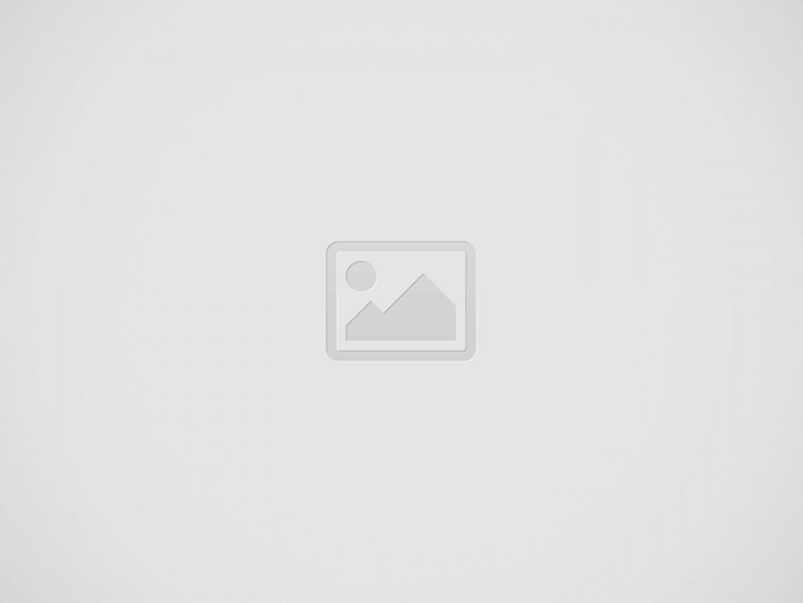 Detail Documentation as an Open Source Practice Business